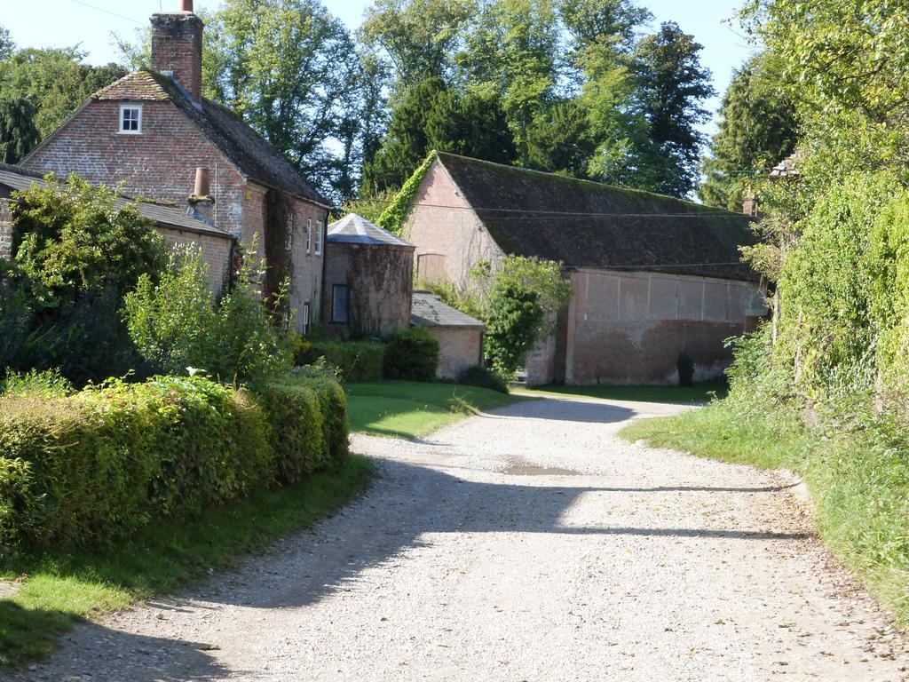 Home Farm House Wimborne Saint Giles Eksteriør billede